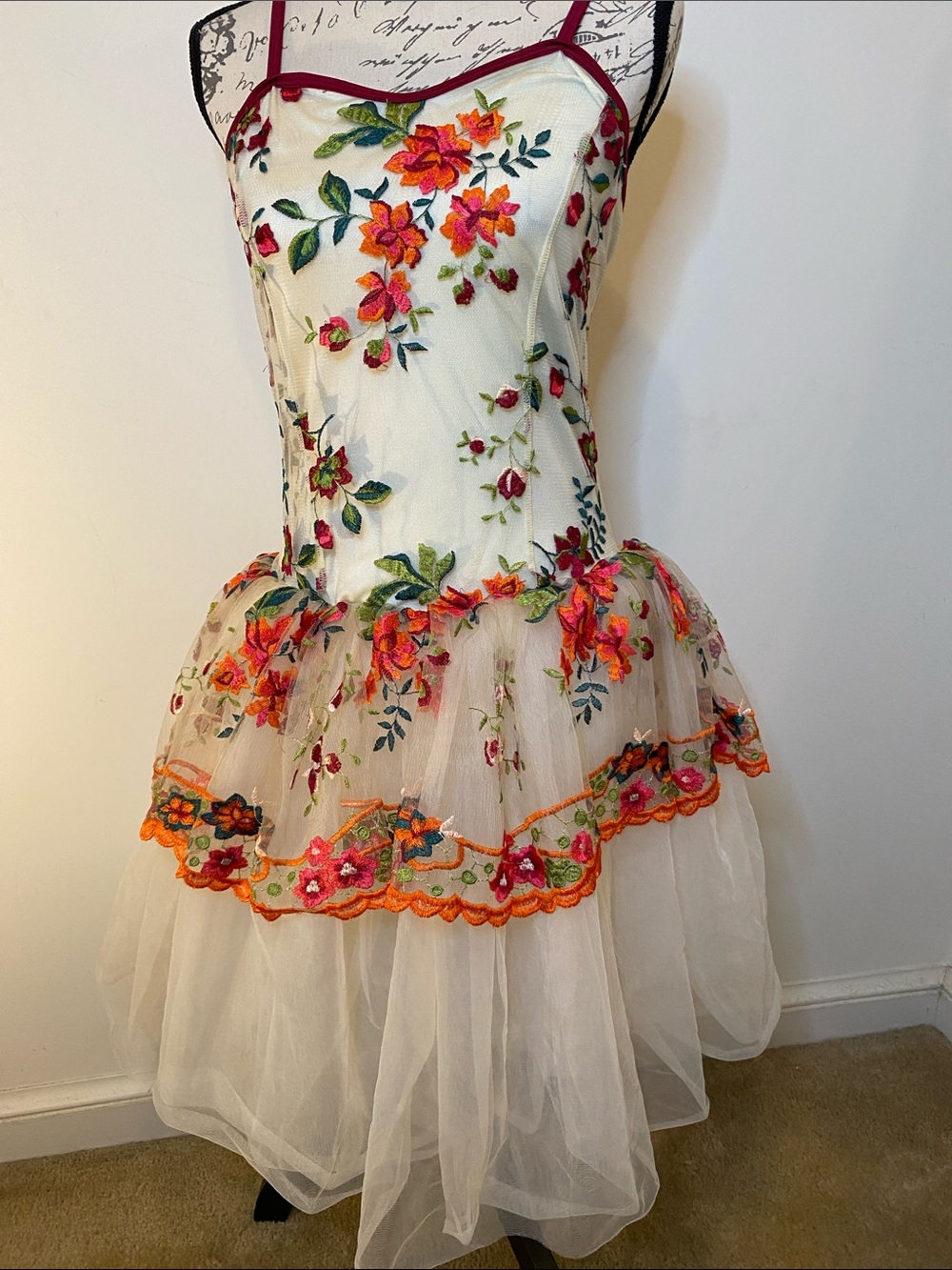 Costume Curtain Call Flora Floral Embroidered Tulle Dress kids 14/16